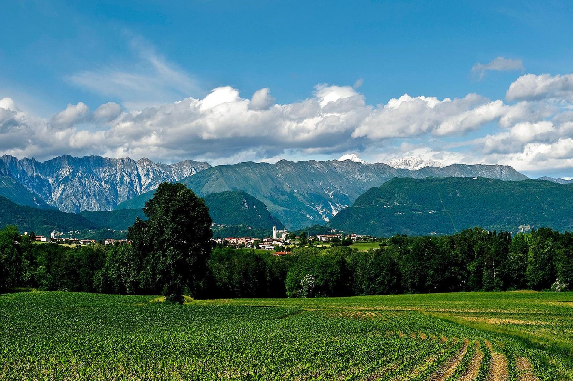 friuli collinare 14 1905x1270